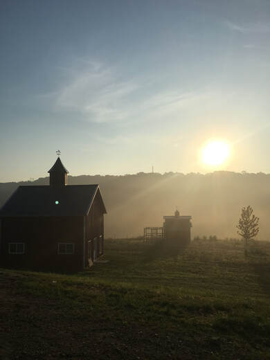 The Iron Creek Cattle farm outside Dubuque, Iowa
